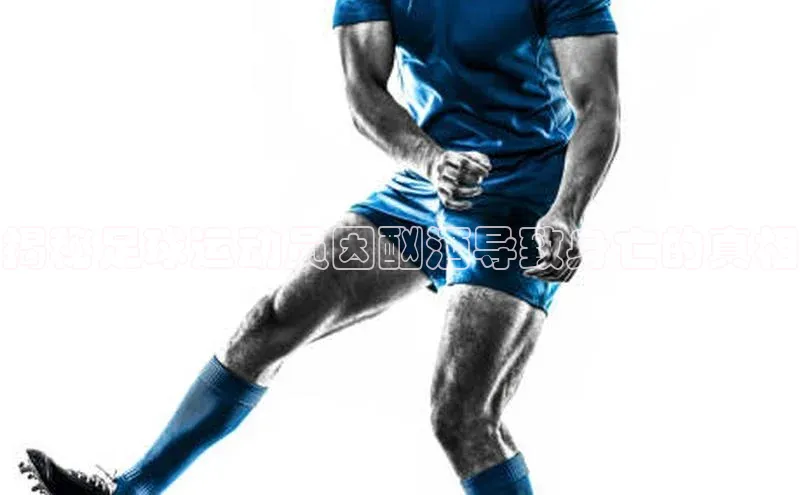 beat365安卓版下载猫眼