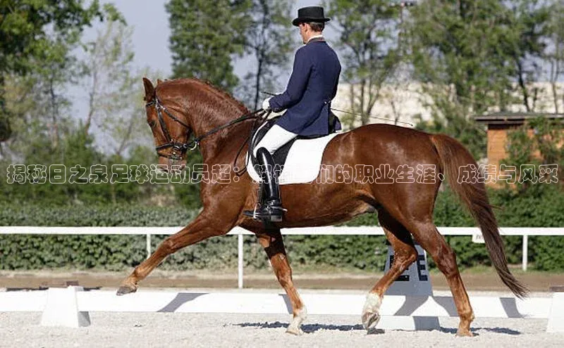 365英国官网登录入口视觉中国