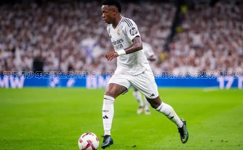 beat365官方唯一入口百度识图