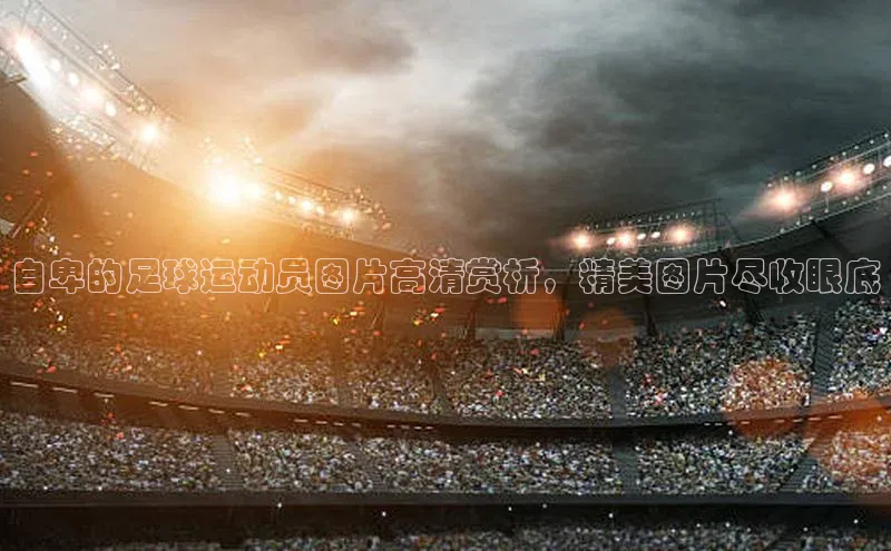 beat365 手机版官方网站阿里尔公司