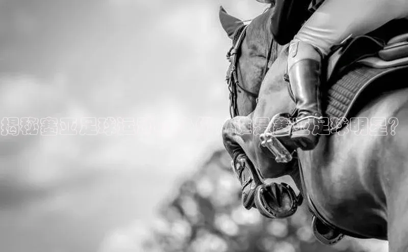 beat365安卓版下载百度游戏