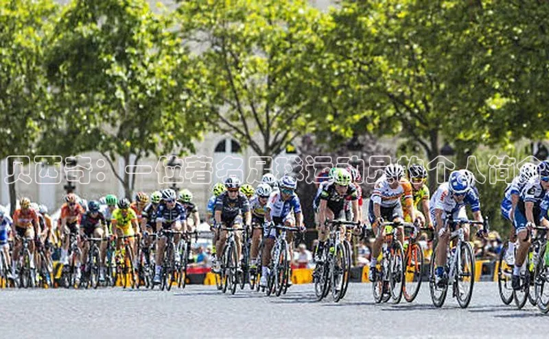 beat365全站官网最新版本顺丰