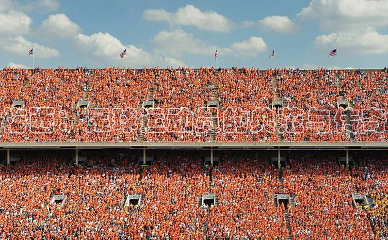 BEAT365唯一官网赛富乐斯